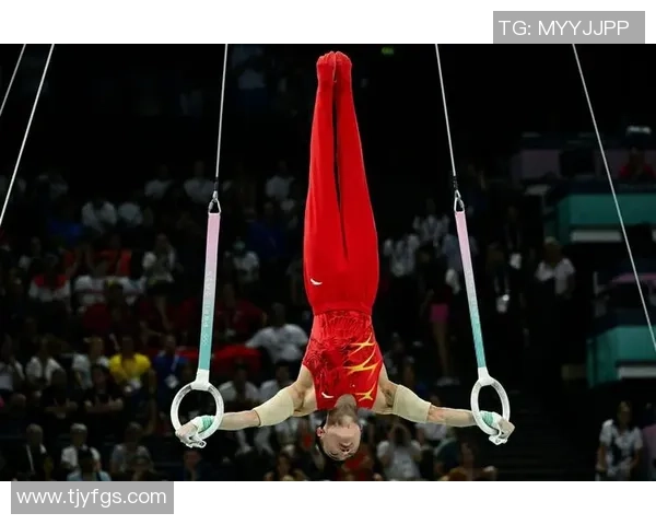 奥运会体操吊环项目的技术难点分析与有效训练方法探讨 奥运会体操吊环项目的技术难点分析与有效训练方法探讨